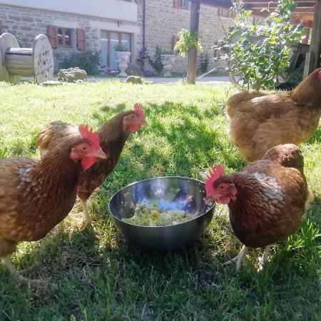 Alojamento de Acomodação e Pequeno-almoço Le Ginestre Assisi