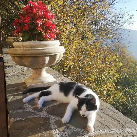 Le Ginestre Guesthouse Assisi 3*