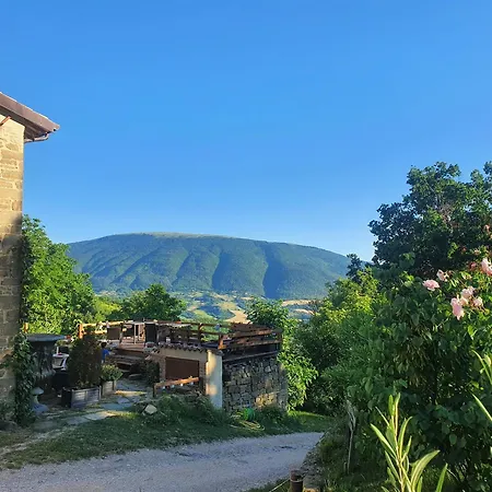 Le Ginestre Guesthouse Assisi Bed & Breakfast 3*