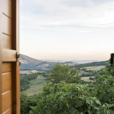 Le Ginestre Assisi