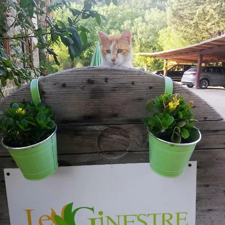 Le Ginestre Guesthouse Assisi 3*