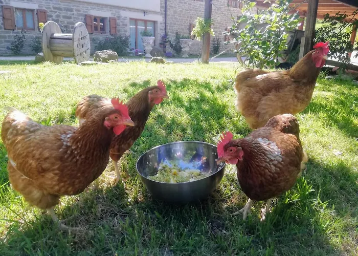 Bed & Breakfast Le Ginestre Assisi